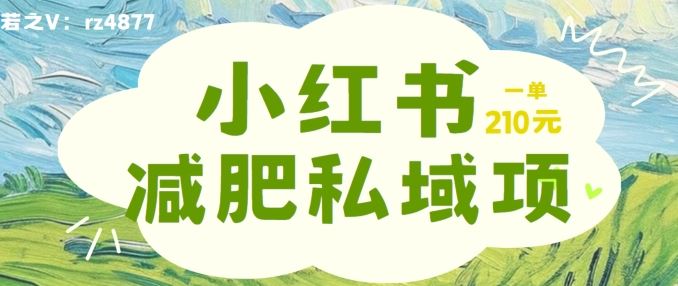 小红书减肥粉，私域变现项目，一单就达210元，小白也能轻松上手【揭秘】-宇文网创