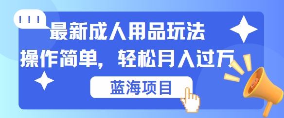 最新成人用品项目玩法，操作简单，动动手，轻松日入几张【揭秘】-宇文网创