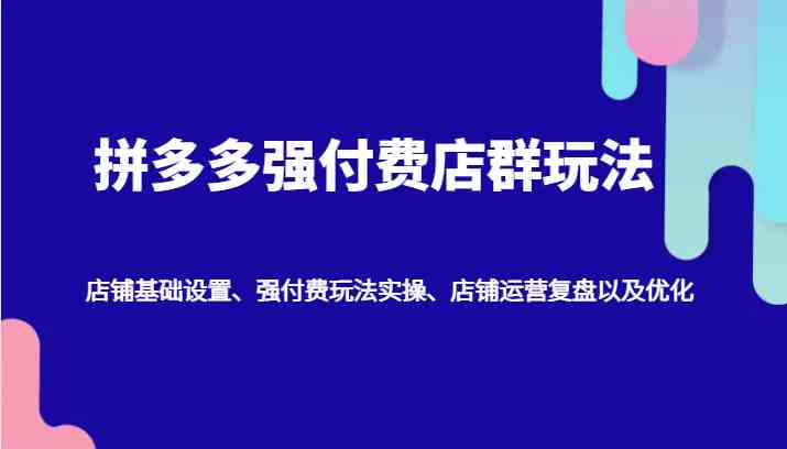 拼多多强付费店群玩法：店铺基础设置、强付费玩法实操、店铺运营复盘以及优化-宇文网创