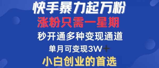 快手暴力起万粉，涨粉只需一星期，多种变现模式，直接秒开万合，单月变现过W【揭秘】-宇文网创