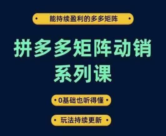 拼多多矩阵动销系列课，能持续盈利的多多矩阵，0基础也听得懂，玩法持续更新-宇文网创