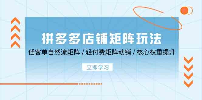 拼多多店铺矩阵玩法：低客单自然流矩阵 / 轻付费矩阵 动销 / 核心权重提升-宇文网创