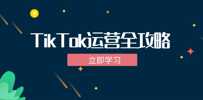 TikTok实战运营全攻略：从下载软件到变现，抖音海外版实操教程-宇文网创