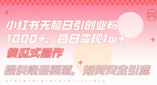 小红书无脑每日引流创业粉500+，小白每天只花半小时，躺赚长尾收益【揭秘】-宇文网创