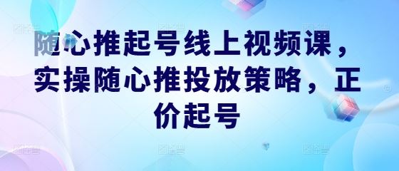 随心推起号线上视频课，实操随心推投放策略，正价起号-宇文网创