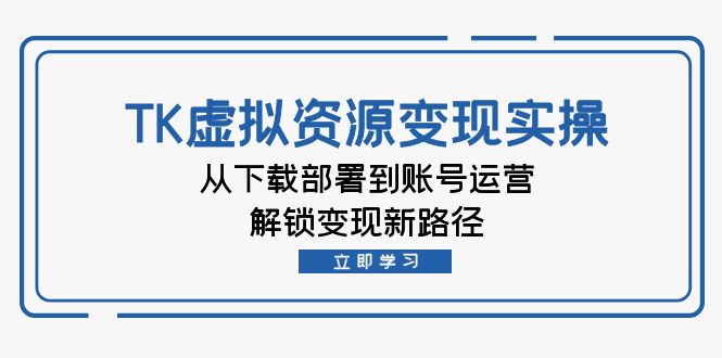 TK虚拟资源变现实操：从下载部署到账号运营，解锁变现新路径-宇文网创