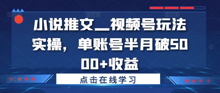 小说推文—视频号玩法实操，单账号半月破5000+收益-宇文网创