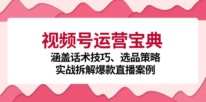 视频号运营宝典：涵盖话术技巧、选品策略、实战拆解爆款直播案例-宇文网创