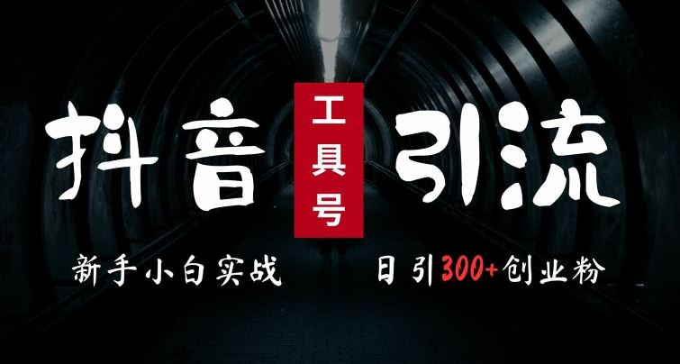 2024最新抖音工具号引流玩法，高效日引300+创业粉，当天变现5k，小白也可成为实战高手-宇文网创