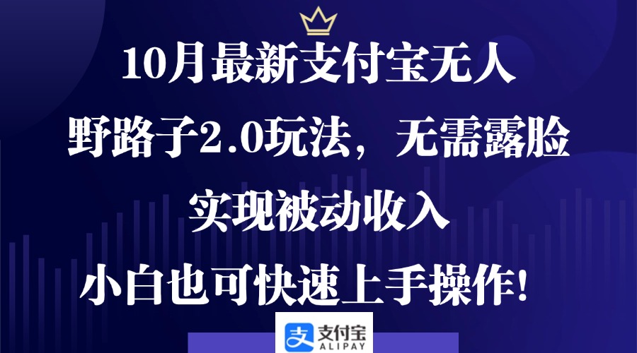 10月最新支付宝无人野路子2.0玩法，无需露脸，实现被动收入，小白也可…-宇文网创