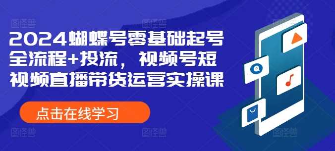 2024蝴蝶号零基础起号全流程+投流，视频号短视频直播带货运营实操课-宇文网创