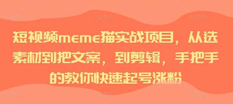 短视频meme猫实战项目，从选素材到把文案，到剪辑，手把手的教你快速起号涨粉-宇文网创