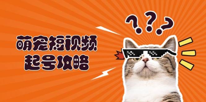 萌宠短视频起号攻略：定位搭建推流全解析，助力新手轻松打造爆款-宇文网创