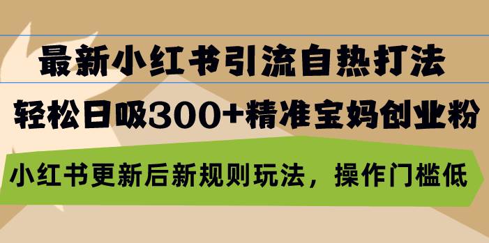 最新小红书引流自热打法，轻松日吸300+精准宝妈创业粉，小红书更新后新…-宇文网创