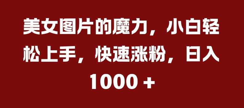 美女图片的魔力，小白轻松上手，快速涨粉，日入几张【揭秘】-宇文网创