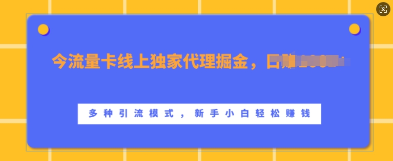 流量卡线上独家代理掘金，日入1k+ ，多种引流模式，新手小白轻松上手【揭秘】-宇文网创