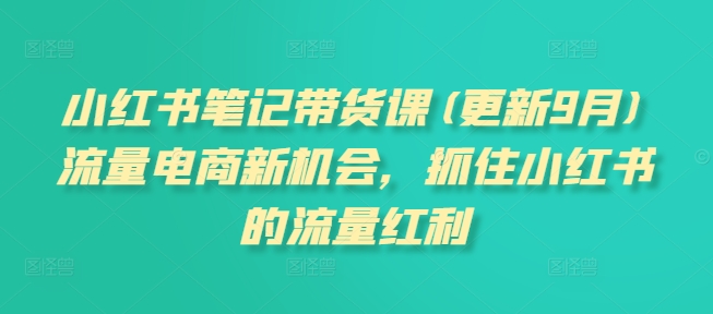 小红书笔记带货课(更新10月)流量电商新机会，抓住小红书的流量红利-宇文网创