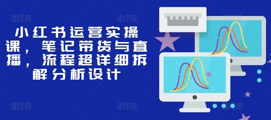 小红书运营实操课，笔记带货与直播，流程超详细拆解分析设计-宇文网创