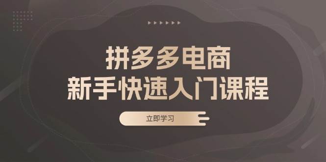 拼多多电商新手快速入门课程：涵盖基础、实战与选款，助力小白轻松上手-宇文网创