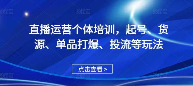 直播运营个体培训，起号、货源、单品打爆、投流等玩法-宇文网创