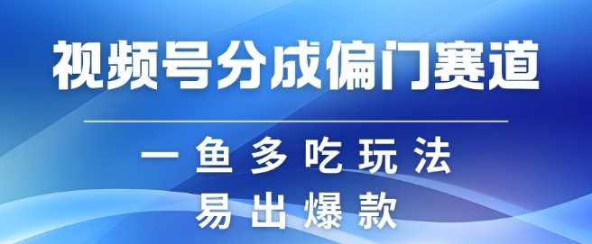 视频号创作者分成计划偏门类目，容易爆流，实拍内容简单易做【揭秘】-宇文网创