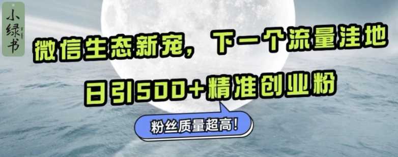 微信生态新宠小绿书：下一个流量洼地，日引500+精准创业粉，粉丝质量超高-宇文网创