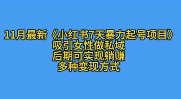 K总部落11月最新小红书7天暴力起号项目，吸引女性做私域【揭秘】-宇文网创