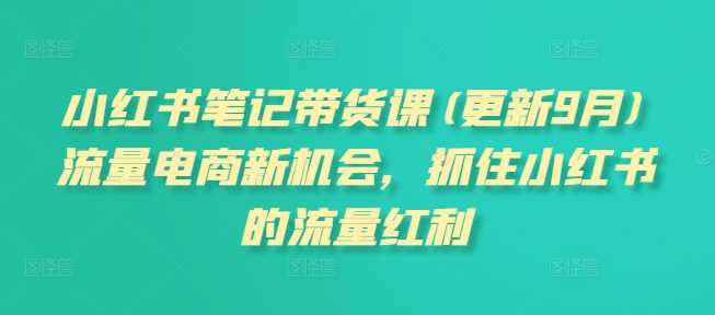 小红书笔记带货课(更新11月)流量电商新机会，抓住小红书的流量红利-宇文网创