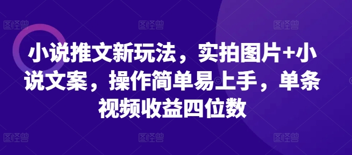 小说推文新玩法，实拍图片+小说文案，操作简单易上手，单条视频收益四位数-宇文网创