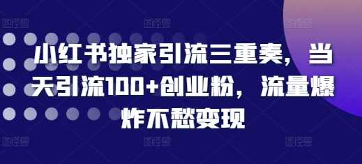 小红书独家引流三重奏，当天引流100+创业粉，流量爆炸不愁变现【揭秘】-宇文网创