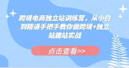 跨境电商独立站训练营，从小白到精通手把手教你做跨境+独立站建站实战-宇文网创