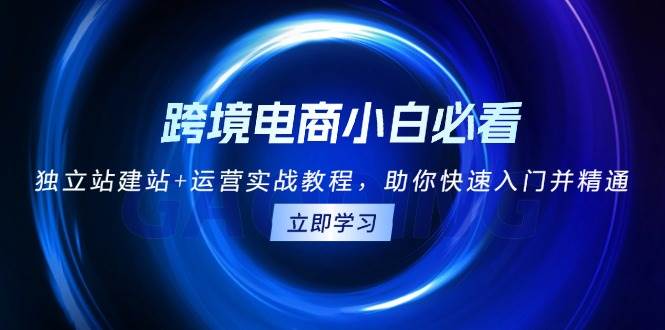 跨境电商小白必看！独立站建站+运营实战教程，助你快速入门并精通-宇文网创