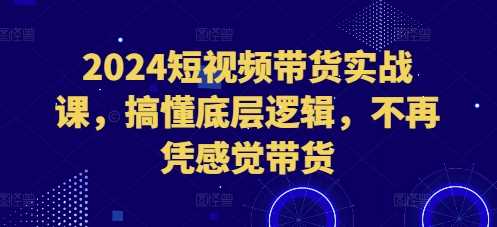 2024短视频带货实战课，搞懂底层逻辑，不再凭感觉带货-宇文网创