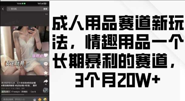 成人用品赛道新玩法，情趣用品一个长期暴利的赛道，3个月收益20个【揭秘】-宇文网创