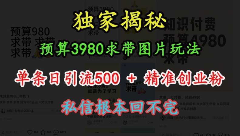 预算3980求带 图片玩法，单条日引流500+精准创业粉，私信根本回不完-宇文网创