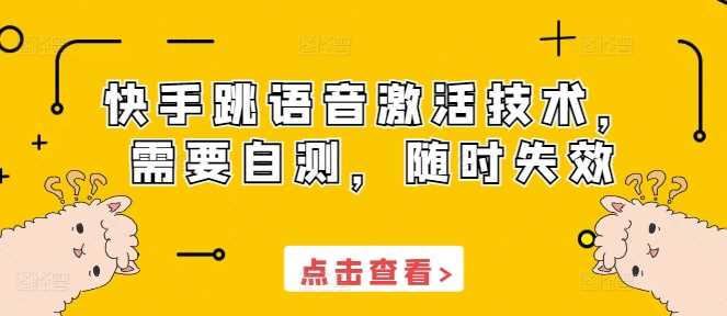 快手跳语音激活技术，需要自测，随时失效-宇文网创