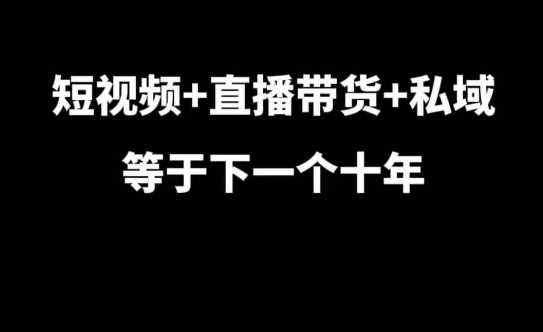 短视频+直播带货+私域等于下一个十年，大佬7年实战经验总结-宇文网创