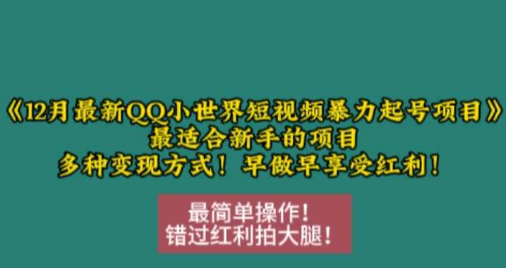 12月最新QQ小世界短视频暴力起号项目，最适合新手的项目，多种变现方式-宇文网创