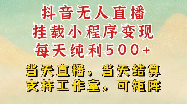 抖音无人直播挂载小程序变现每天纯利500+当天直播，当天结算支持工作室，可矩阵【揭秘】-宇文网创