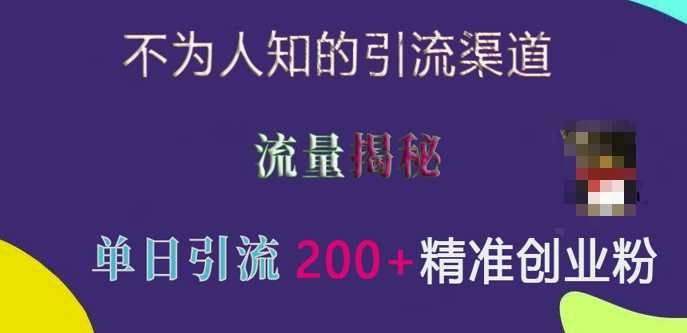 不为人知的引流渠道，流量揭秘，实测单日引流200+精准创业粉【揭秘】-宇文网创