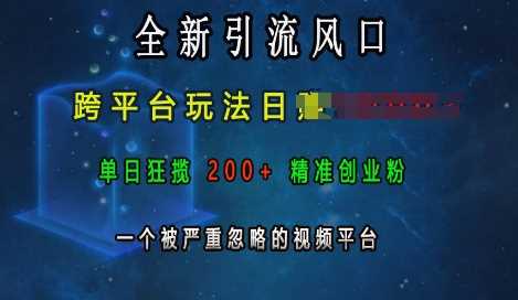 全新引流风口，跨平台玩法日入上k，单日狂揽200+精准创业粉，一个被严重忽略的视频平台-宇文网创