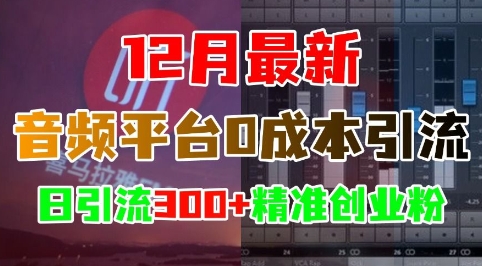 12月最新：音频平台0成本引流，日引流300+精准创业粉-宇文网创