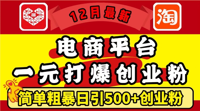 12月最新：电商平台1元打爆创业粉，简单粗暴日引500+精准创业粉，轻松月入过W【揭秘】-宇文网创