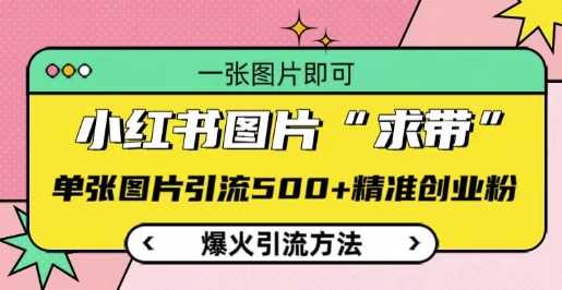 小红书图片‘求带’爆火引流法，单张图片引流500+精准创业粉【揭秘】-宇文网创