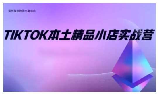 TikTok本土精品小店出海实战营，从入门到高阶，不止0-1!-宇文网创