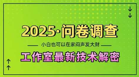 2025问卷调查最新工作室技术解密：一个人在家也可以闷声发大财，小白一天2张，可矩阵放大【揭秘】-宇文网创