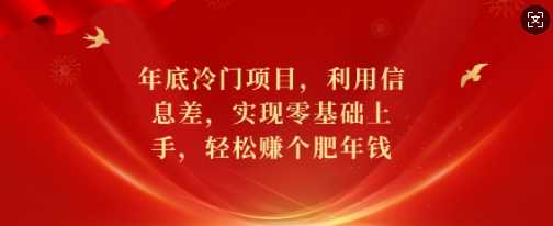 年底冷门项目，利用信息差，实现零基础上手，轻松赚个肥年钱【揭秘】-宇文网创