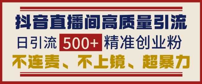 抖音直播间引流创业粉，无需连麦、不用上镜、超暴力，日引流500+高质量精准创业粉-宇文网创