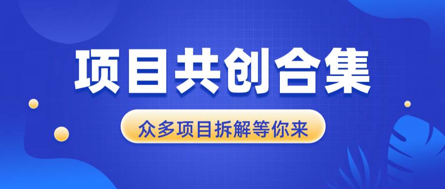 项目共创合集，从0-1全过程拆解，让你迅速找到适合自已的项目-宇文网创