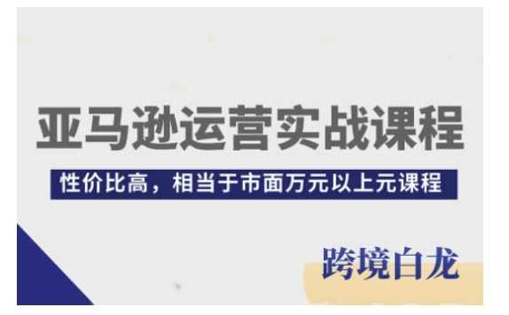 亚马逊运营实战课程，亚马逊从入门到精通，性价比高，相当于市面万元以上元课程-宇文网创